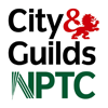 Climbers way Tree Care Tree Surgeons are all City and Guilds NPTC certified