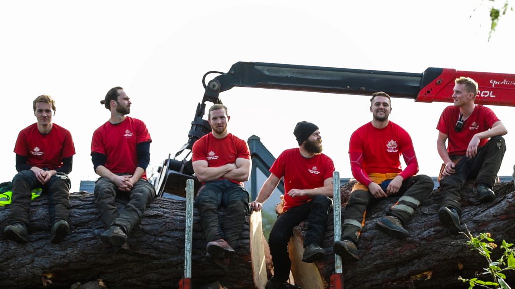 Climbers Way Tree Care Team who carry out tree surgery in Cobham