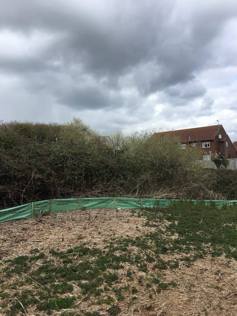 Site showing a site clearance