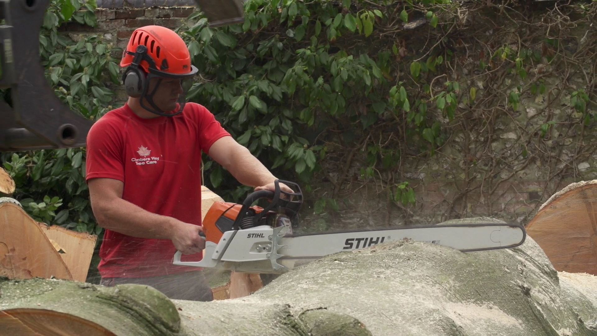 Tree Surgeon Havant & Waterlooville Tree Surgery by Climbers Way Tree Care