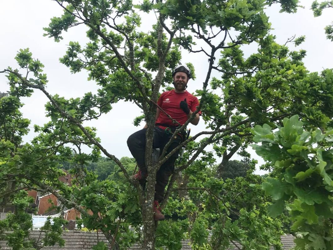 A Wiltshire Tree Surgeon giving a thumbs up