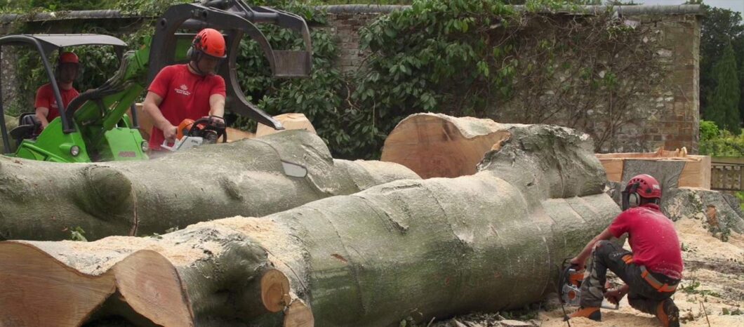 Tree surgeons with giant trunks / logs