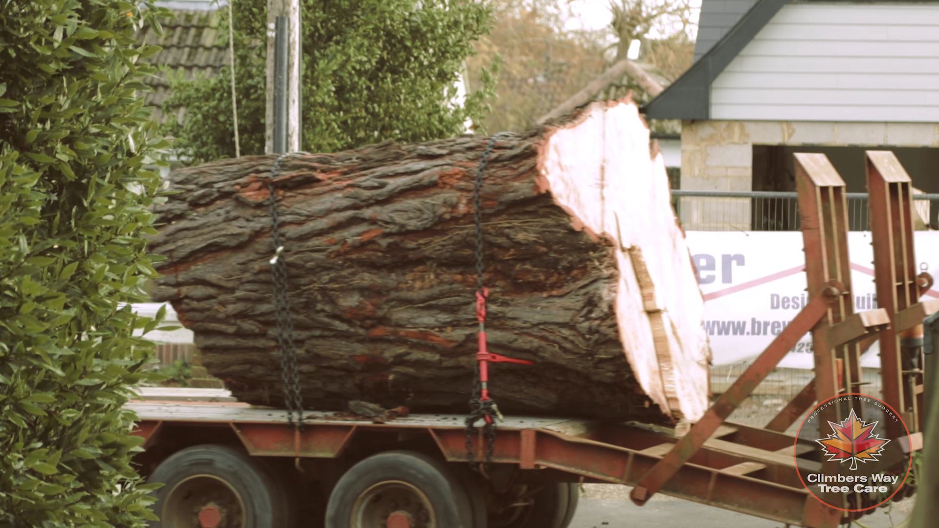 Timber carried away by trailer.