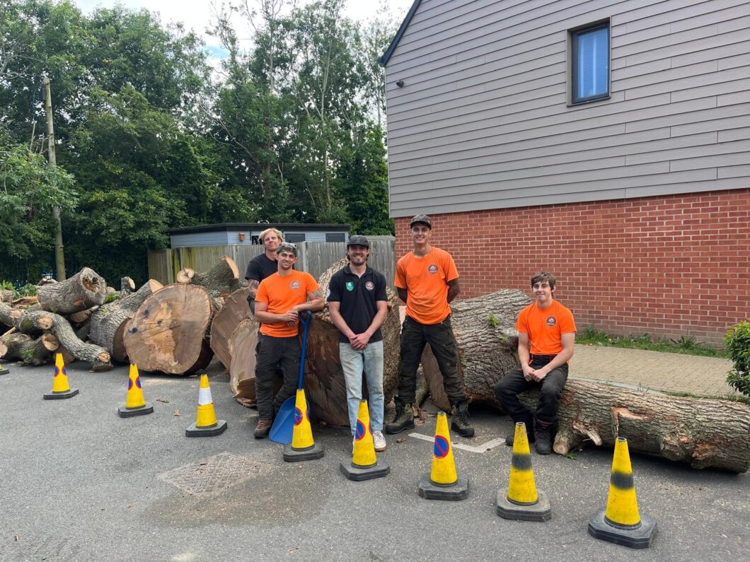 Hampshire County Council Tree Surgeons Climbers Way Tree Care